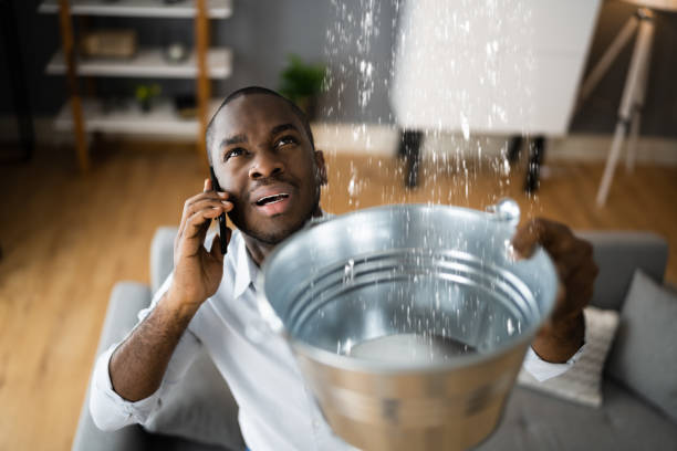 Best Ceiling water damage repair  in Wolverine Lake, MI