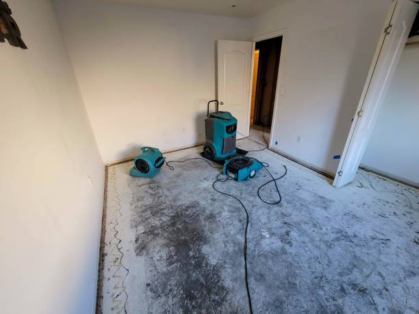  Wolverine Lake, MI Water damage restoration Pros