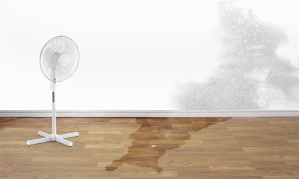 Best Commercial water damage restoration  in Wolverine Lake, MI