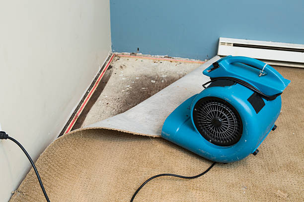 Best Water damage contractors near me  in Wolverine Lake, MI